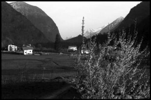 Oetz: Ötztal, Vordergrund blühende Forsythien