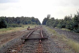Dwerkaten