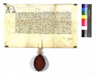 Bischof Hermann von Konstanz wiederholt den Auftrag, die Bischof Burckhard am 21. August 1463, der Stadt Ulm erteilt hatte.