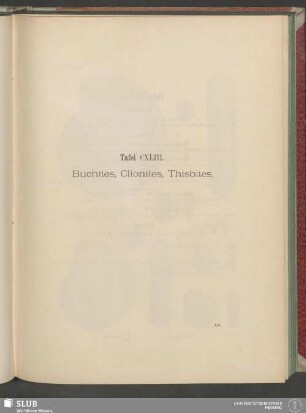 Tafel CXLIII. Buchites, Clionites, Thisbites