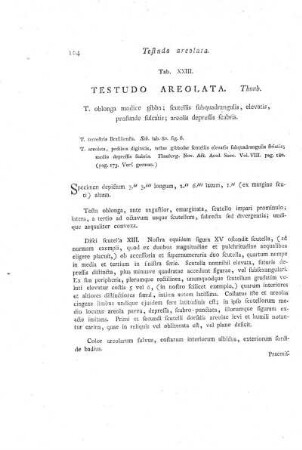 Tab. XXIII. Testudo Areolata.