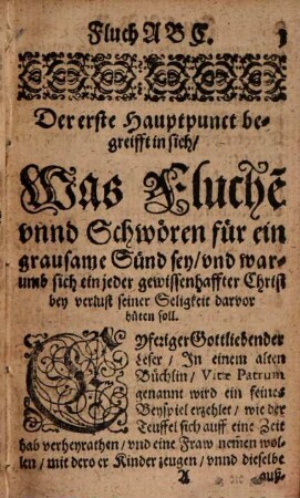 Fluch ABC : d. i. Christlicher theologischer Bericht