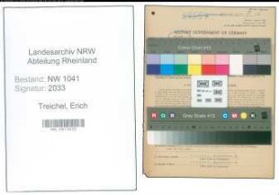 Entnazifizierung Erich Treichel , geb. 21.09.1900 (Bankbeamter)