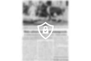 Weiter aufwärts beim Rinderbesamungsverein