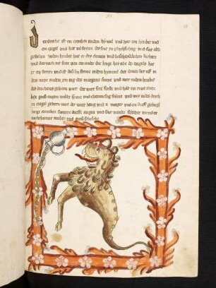 Drache
