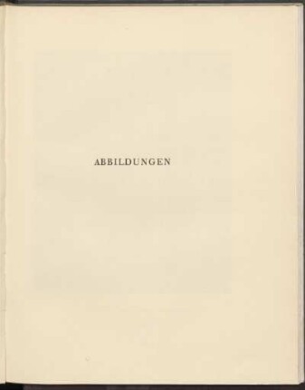 Abbildungen [Taf. I - XCVI]