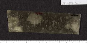 CIL XV 3989 β, Gelatinefolie
