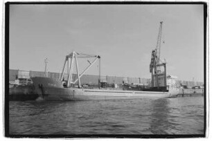 Tina (1980), Minilift Shipping, St. Johns