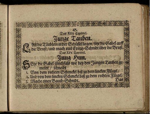 Das XIV. Capittel. Jung Hun