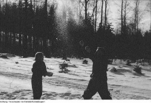 Winter, Mirze auf dem Winterberg