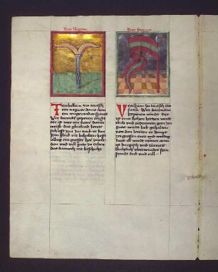 Sternbilder: (1) Bohrer (Terebellum); (2) Fahne (Vecillum)