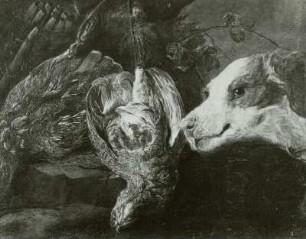 Zwei tote Rebhühner und ein Jagdhund