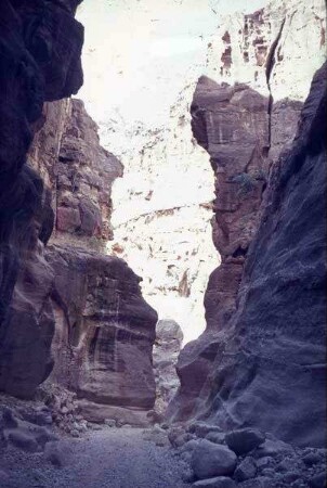 Petra Sik