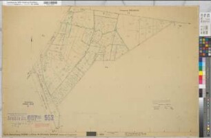 Rheine r.d.E. (Rheine), Flurbereinigung Altenrheine, Schätzungskarte Rheine r.d.E. Flur 5
