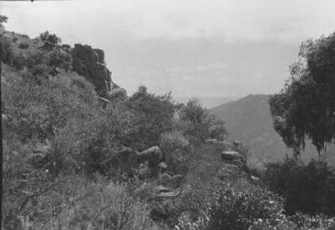 Landschaft am Monte Bizen : Blick in eine begrünte, felsige Berglandschaft