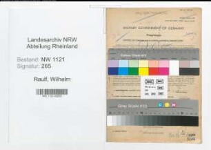 Entnazifizierung Wilhelm Raulf , geb. 13.05.1890 (Stadtinspektor)