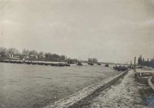 Breisacher Schiffsbrücke/Rhein