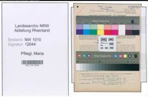 Entnazifizierung Maria Pfliegl , geb. 27.01.1889 (Schauspielerin)