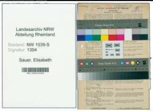 Entnazifizierung Elisabeth Sauer , geb. 26.08.1900 (Lehrerin)