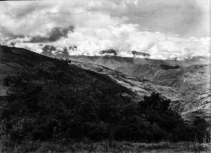 Vegetation im Nebelgürtel über Independencia (Südamerikareise 1926-1929)