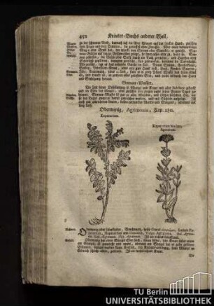 Cap. 280. Odermenig, Agrimonia.