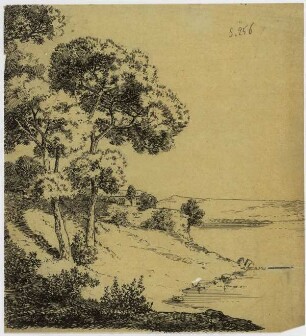 Landschaft am Douro, Flusslandschaft