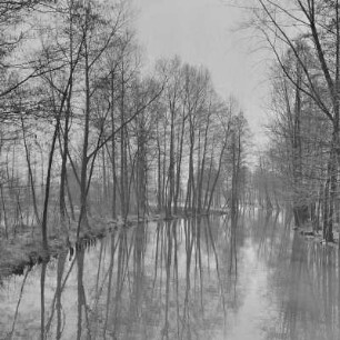Landschaftsbild. Frühling in Burg-Kauper. Heuschober. Die Wiesen sind überschwemmt. : Wobraz krajiny. Nalěćo w Kupaŕskich Bórkowach. Kopjena (Stogi). Łuki su přepławjene.
