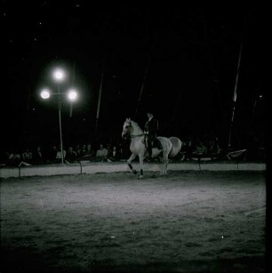 Circus Williams - Vorstellung - Tiere, ohne Ortsangabe, 1959