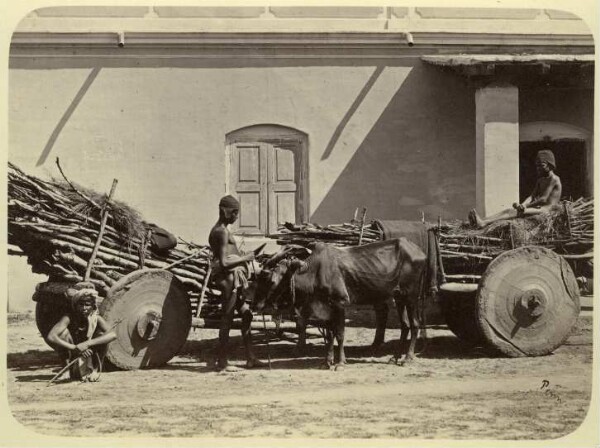 Lasttragende Wagen mit Männern und Rind