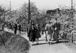Altes Land. Menschen bewundern die Baumblüte