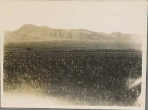 La Lava mit Blick nach Nordwesten auf Cerro Rico. Punafläche mit Bohnen- und Gerstefeldern, Endmoränen und Andesitgrate