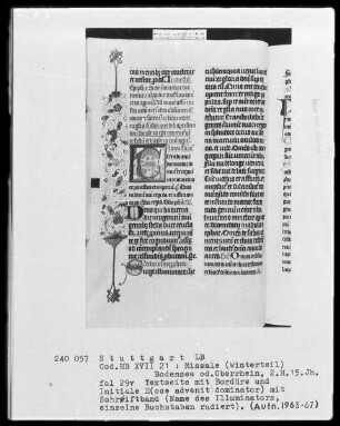 Missale (Winterteil) — Initiale E(cce advenit dominator) mit schriftband und anschließender Ranke als Teilbordüre, Folio 29verso