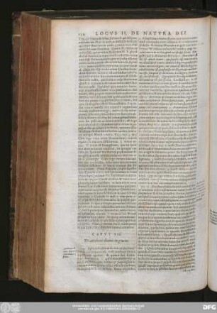 Caput VII. De attributis divinis in genere.