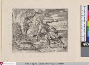[Samson mit den Füchsen; Samson with the foxes]