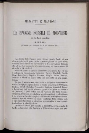 Le Spugne Fossili Di Montese