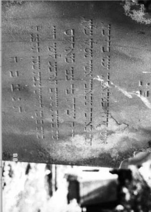 Grabstein 247 (Index: 100094476) Material: Sandstein Zustand: abgeblättert, Textverlust, längs gesprunge Maße HxBxT: 160x75x15 cm Beschreibung: Stele, doppelt eingezogener Rundbogenabschluß: Grabstein 247A