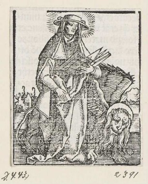 Heiliger Hieronymus und der Löwe, aus: Peter Apian, "Hortulus anime", Nürnberg 1517