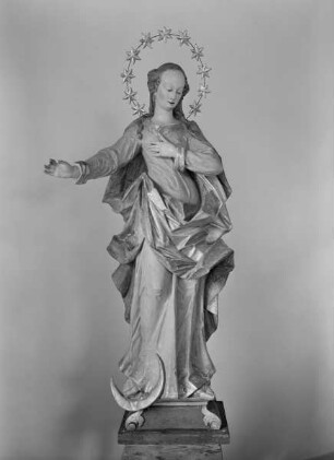 Immaculata