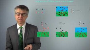 Phasengleichgewichte zwischen idealen Mischungen nach RAOULT, HENRY und NERNST - Phasen paritätisch mit Komponenten besetzt?