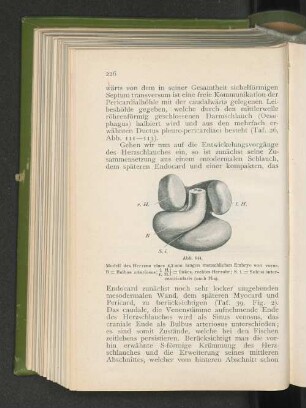 Abb. 144.