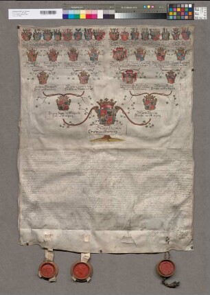 16er-Wappenahnentafel der Maria Eleonora Gräfin von Auersperg. Bestätigt durch Maximilian Friedrich Erzbischof zu Köln, Joseph Bischof zu Augsburg, Friedrich Carl zu Limburg und Velen, August Eugen Bernard Graf zu Salm-Reifferscheid. Mit den 4 Unterschriften. 3 Siegel in Holzkapseln (von 4) erhalten.