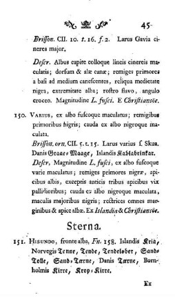 Sterna