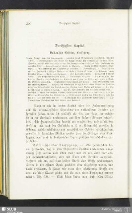 Dreißigstes Kapitel. Vulkanische Gesteine, Fortsetzung