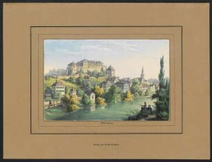 Tübingen. Ansicht vom oberen Neckar aus : Kolorierte Lithographie