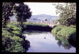 Totenkopf im Kaiserstuhl