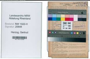 Entnazifizierung Gertrud Herzog , geb. 20.10.1898 (Lehrerin)