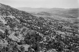 Dorf und Landschaftsblick : Blick über die Landschaft im Département de Tizi Ouzou. Zu sehen sind Getreidefelder unter Öl- und Feigenbäumen sowie Eichen, Eschen und Macchiebüsche, die sich in der Nähe eines kabylischen Dorfes oberhalb eines Tales befinden.