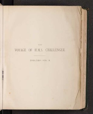 Zoology, Vol. 10: Report on the Scientific Results of the Voyage of H.M.S. Challenger during the Years 1873 - 76 ...