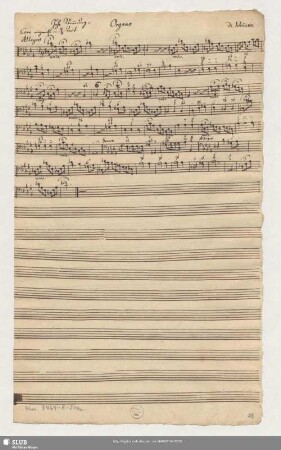 Organo Hohe Stimmung [= b bez., transp.]