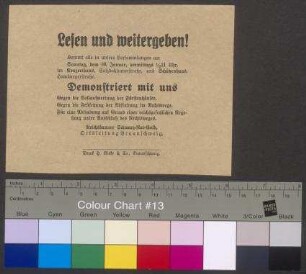 Flugblatt der Vereinigung "Reichsbanner Schwarz-Rot-Gold" für Kundgebungen und Demonstrationen zur Frage der Fürstenabfindung am 10. Januar [1926] in Braunschweig